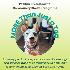 Pet Tags