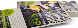 Rack Cards 4" x 9" rack size