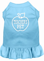 Pet Dress "Teacher's Pet"