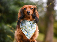 "Food Trucks" Dog Bandana