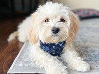 "Grey Flowers" Dog Bandana