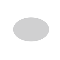 Holographic Stickers - Oval