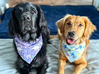 "Barkday on Pink" Dog Bandana