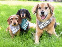 "Birthday Girl" Lavender Dog Bandana