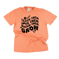 Teach Them Love Them Watch Them Grow (Back to School Version) - Comfort Colors Tee