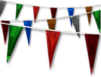Metallic Rainbow Pennant