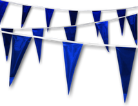 Metallic Rainbow Pennant
