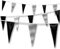 Metallic Rainbow Pennant