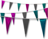 Metallic Rainbow Pennant