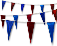 Metallic Rainbow Pennant