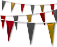 Metallic Rainbow Pennant