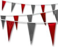 Metallic Rainbow Pennant