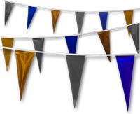 Metallic Rainbow Pennant