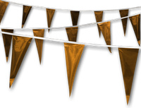 Metallic Rainbow Pennant