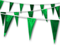 Metallic Rainbow Pennant