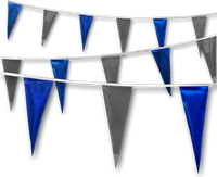 Metallic Rainbow Pennant