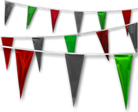 Metallic Rainbow Pennant