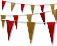 Metallic Rainbow Pennant