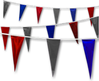 Metallic Rainbow Pennant