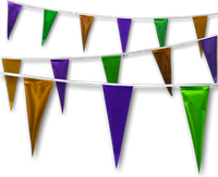 Metallic Rainbow Pennant