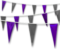 Metallic Rainbow Pennant