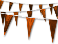 Metallic Rainbow Pennant