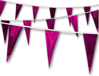 Metallic Rainbow Pennant