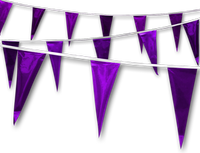 Metallic Rainbow Pennant