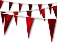 Metallic Rainbow Pennant