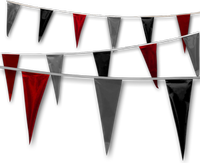 Metallic Rainbow Pennant