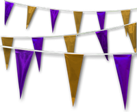 Metallic Rainbow Pennant