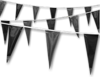 Metallic Rainbow Pennant