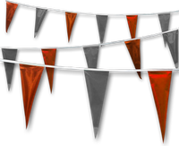 Metallic Rainbow Pennant