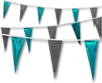 Metallic Rainbow Pennant