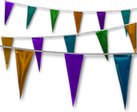 Metallic Rainbow Pennant