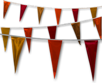 Metallic Rainbow Pennant