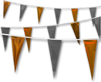 Metallic Rainbow Pennant