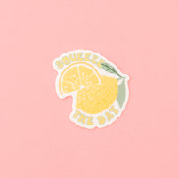 LMSS® FRUIT STICKERS - SELECT YOUR STICKER(S)