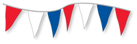 Standard Plasticloth Pennant (12" x 18")