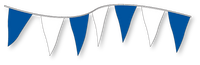Standard Plasticloth Pennant (12" x 18")