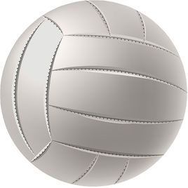 Volleyball   Sticker or Magnet