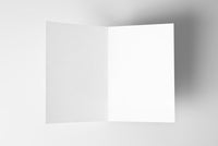 Have a White or Red Christmas Wine Holiday Card