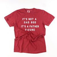 It's Not A Dad Bod It's A Father Figure - Comfort Colors Tee