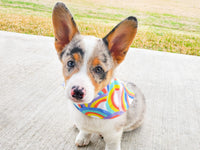 "Winter Weather" Dog Bandana