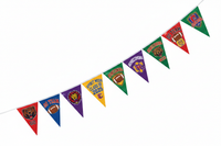 Custom Pennant String Flags - White Background