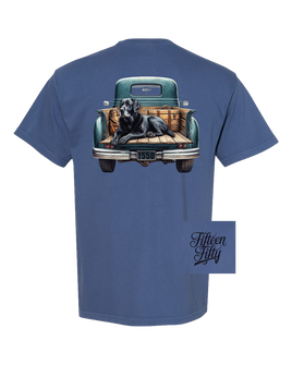 Dog in Truck Bed Youth Tee