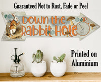 Down The Rabbit Hole - Directional Arrow - Metal Sign