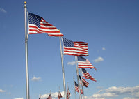 Elite Series (Vanguard) Internal Halyard Flagpoles