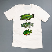 Bass And Bluegill Chart (Hand Drawn) - Unisex Tee