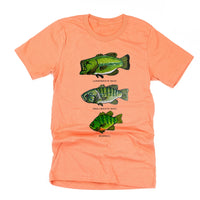 Bass And Bluegill Chart (Hand Drawn) - Unisex Tee